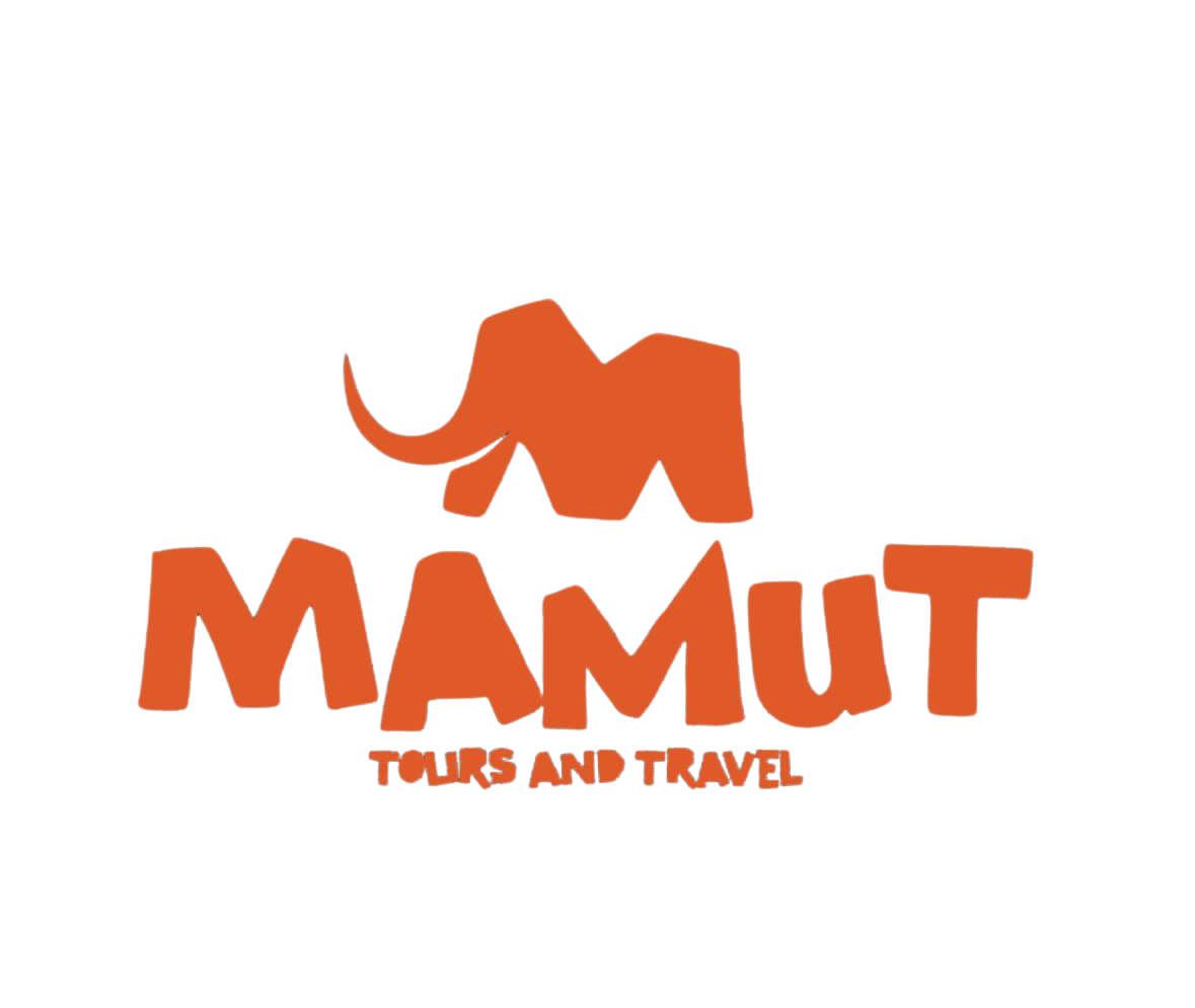 Tours de Bodegas en Mendoza